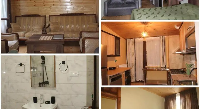 Family hotel in Racha Manilo-Manilo საოჯახო სასტუმრო რაჭაში - Image 1