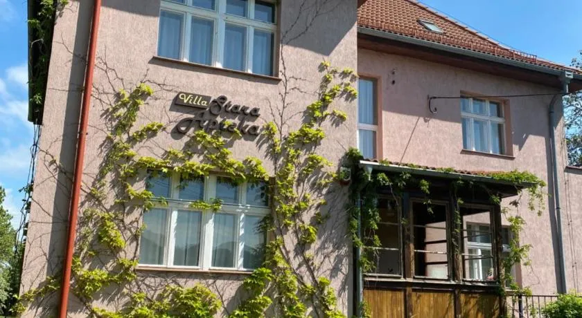 Villa Stara Apteka - Image 1