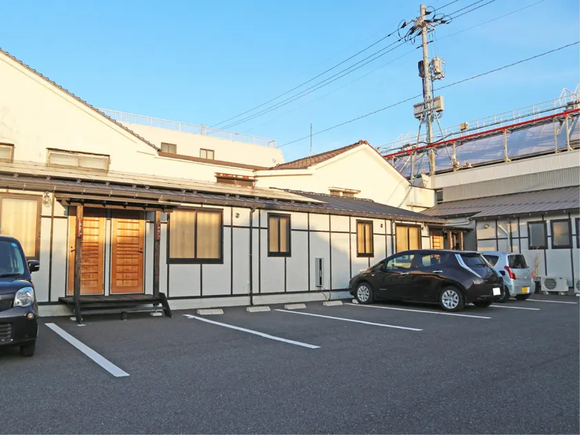 Grand Jete Hagi - Image 1