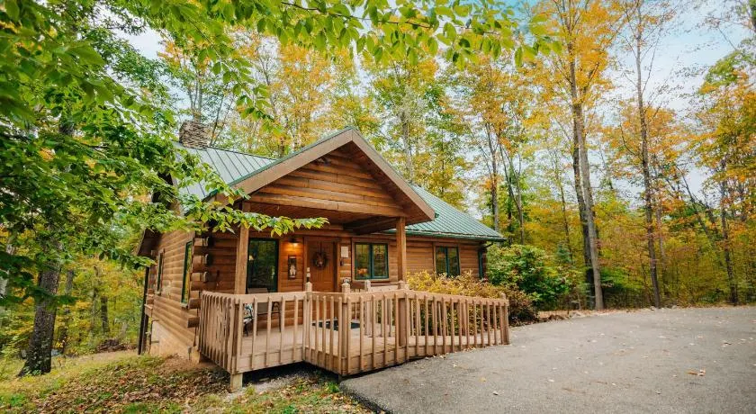 Ferngully Creek Cabins - Image 1