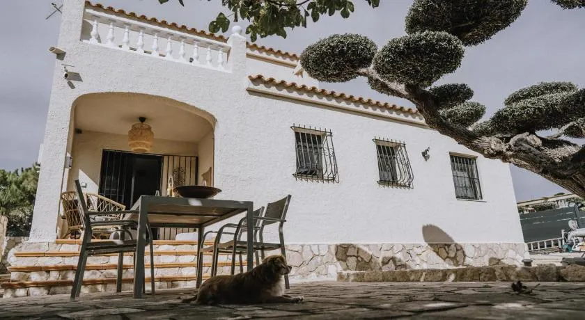 Oliveres3 - Image 1