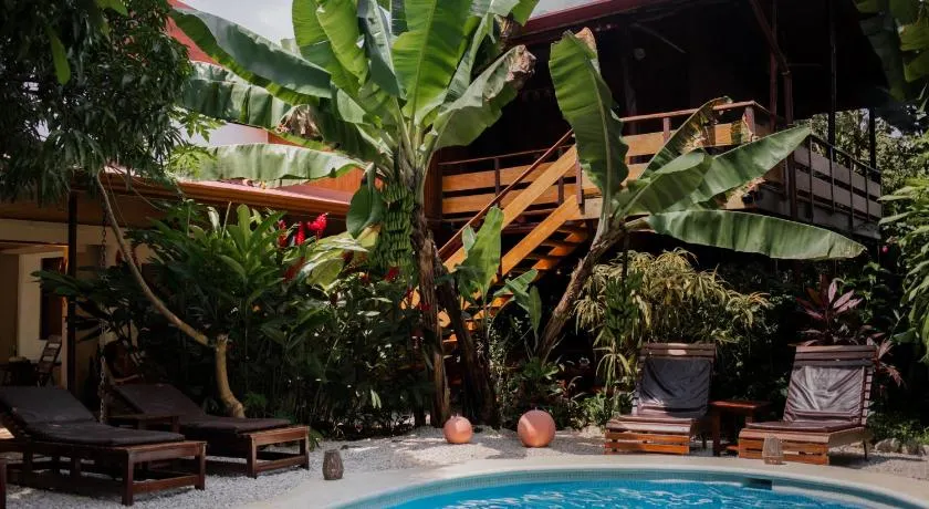 Samara Chillout Lodge - Adults only - Image 1