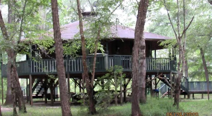 Georgia's Family-Friendly Octagon Cabin Getaway in Claxton - Image 1