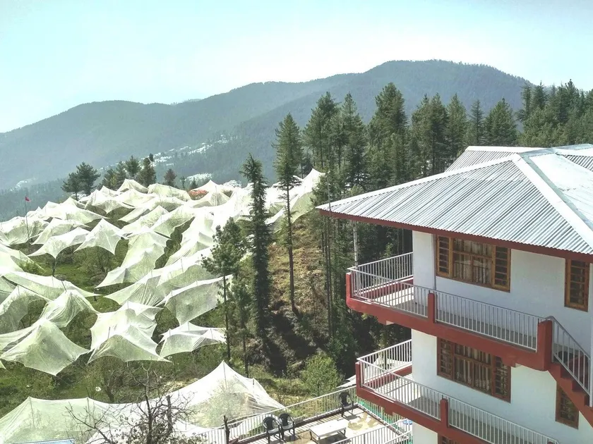Northmoon homestay shimla - Image 1