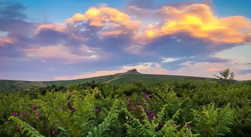 Haytor Court, Haytor, Dartmoor - The Moor on Your Doorstep - Image 1