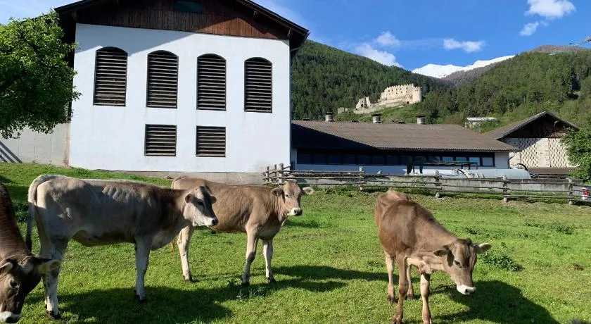 Mooshof - Farm apartment for families, motorcyclists, hikers & cyclists in Stelvio National Park - Image 1