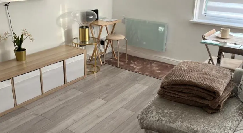 Spacious stylish apartment Croydon - Image 1
