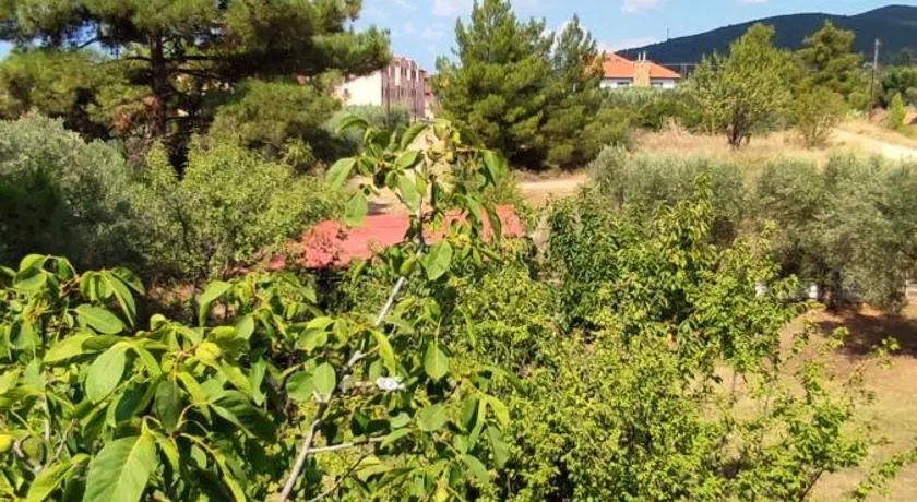 Little Hause - Image 1