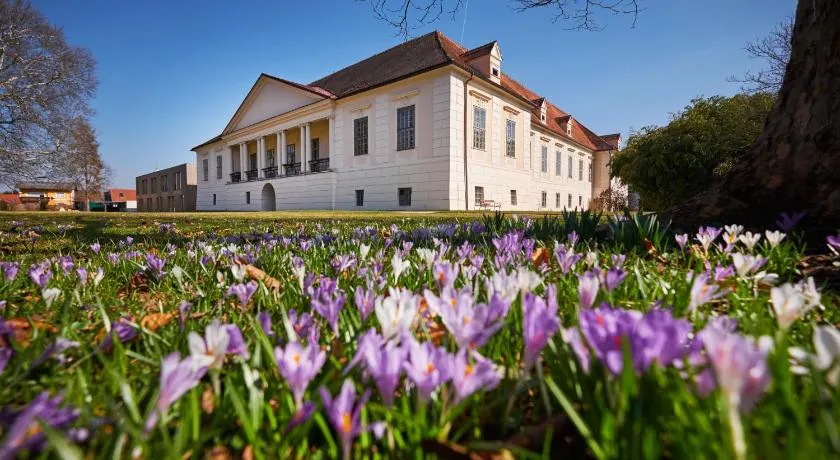 Bildungshaus Schloss Retzhof - Image 1