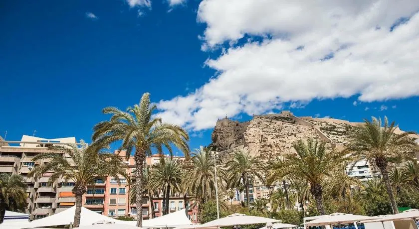 Apartment near the beach - Image 1