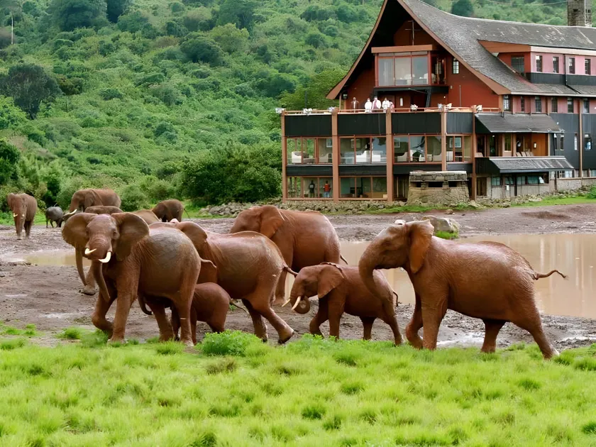 The Ark Lodge - Image 1
