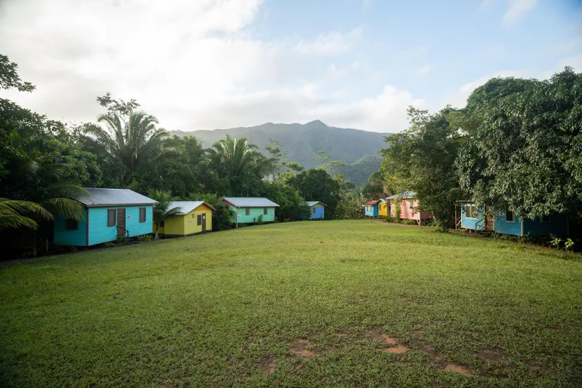 T.R.E.E.S Research Center and Eco Lodge - Image 1