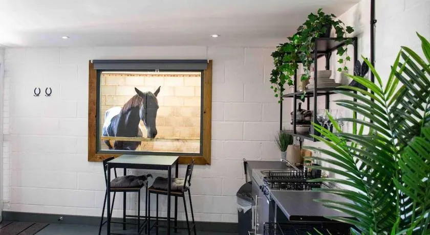 Sleep next to a Horse in a stable by the city ! - Image 1