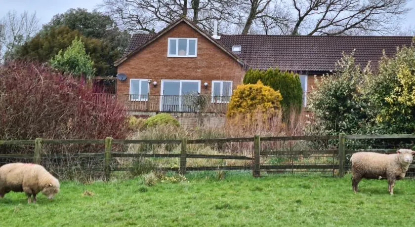 Orchard Cottage - Image 1