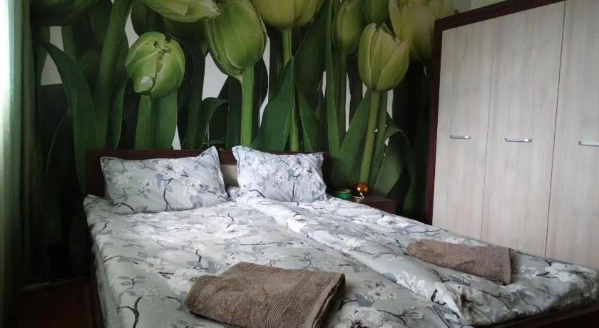 Tulips - Room for travelers, close to the Airport, transport possible - Image 1