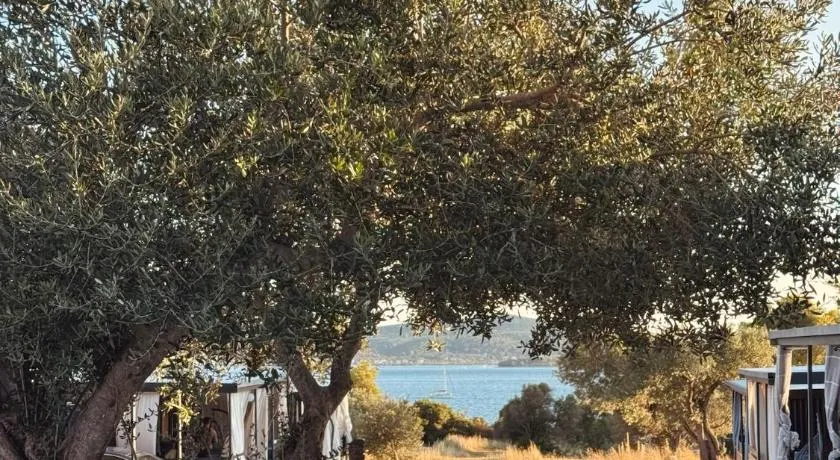StayAdriatic Mobile Homes Olive - Image 1