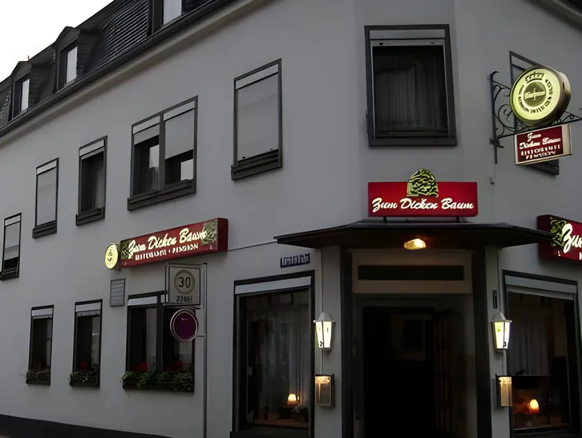 Hotel zum dicken Baum - Image 1
