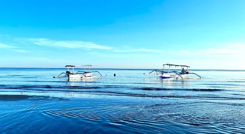 Dolphin Tour Private Villa Packet At Seririt - Image 1