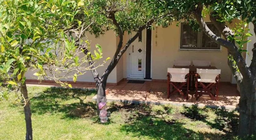 Little Citrus Yard - Image 1