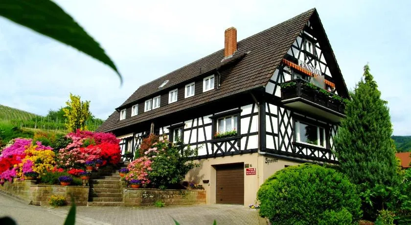Pension am Weinberg - Image 1