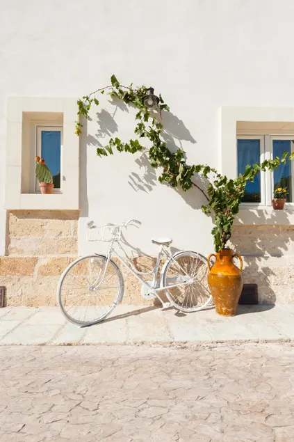 Masseria Monache - Image 1