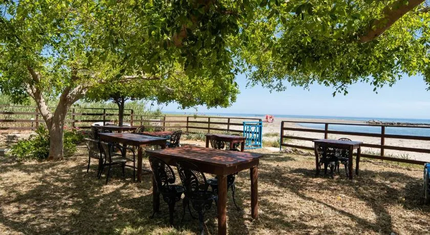 MYLOS (6) - Image 1
