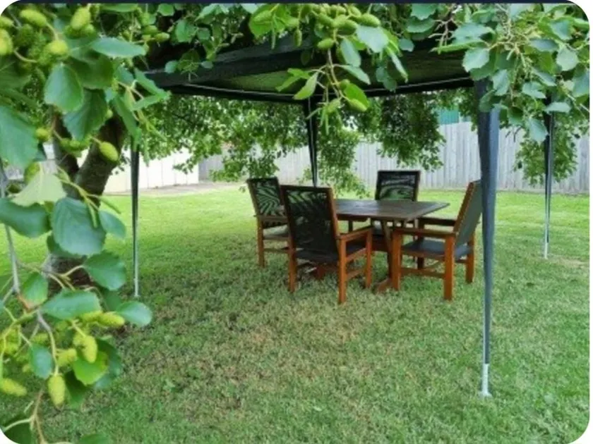 Seabreeze Coast Family Getaway !Caravan/Boat Park - Image 1