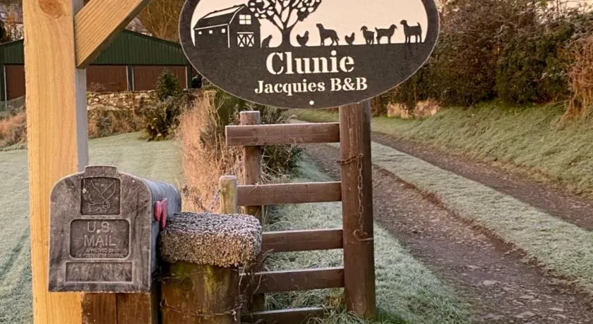 Jacquie's B&B -Dumfries-Room with a view - Image 1