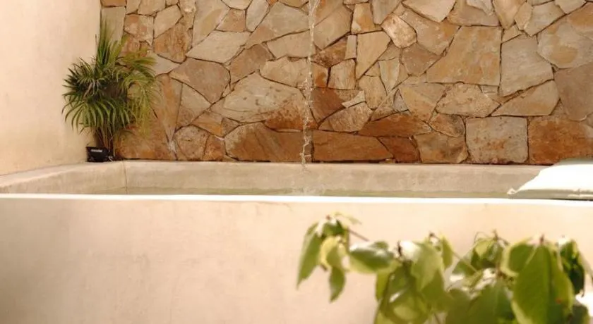 Macarena Paredon - Image 1