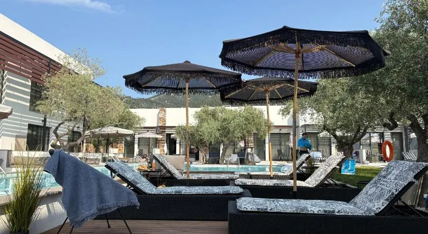 The Olive Hills - Image 1