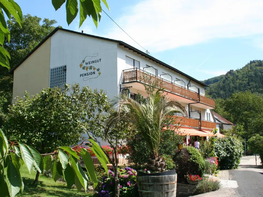 Pension zur Mühle - Image 1