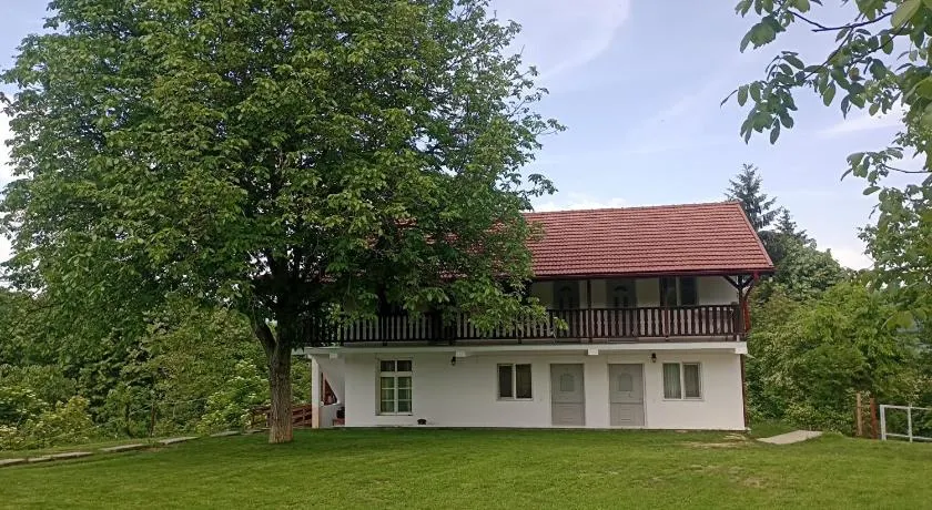 Pensiunea Leon Geoagiu băi - Image 1