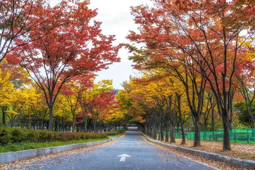 Incheon (Guwoldong) M Place - Image 1