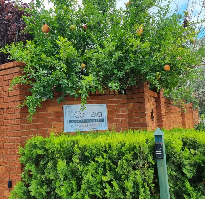Camelia Guest House - Image 1