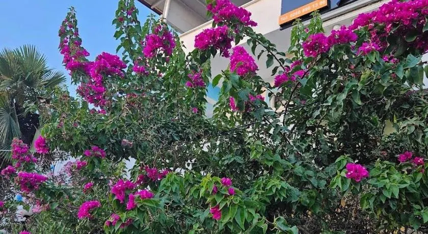 Avşa Güneş Otel - Image 1