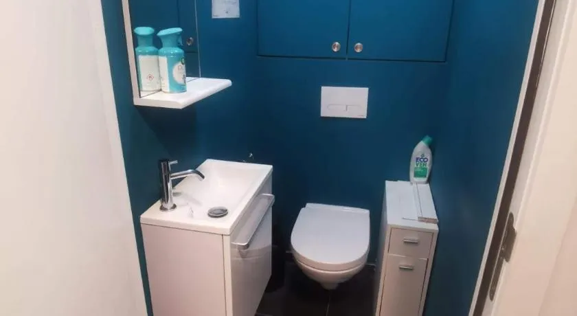 collocation en metro erasme salle de bain et toilettes a partagé - Image 1