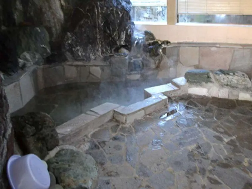 Business Hotel Rokugo - Image 1