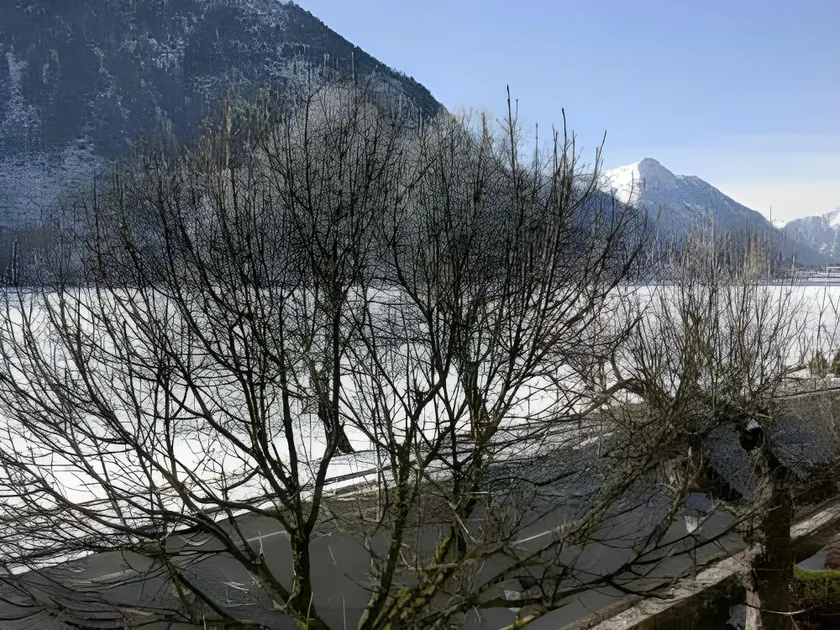 Pension Ladner - Image 1