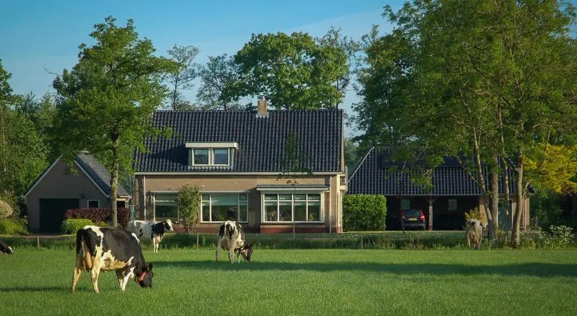 Appartement Hoornsterzwaag, landelijk gelegen - Image 1