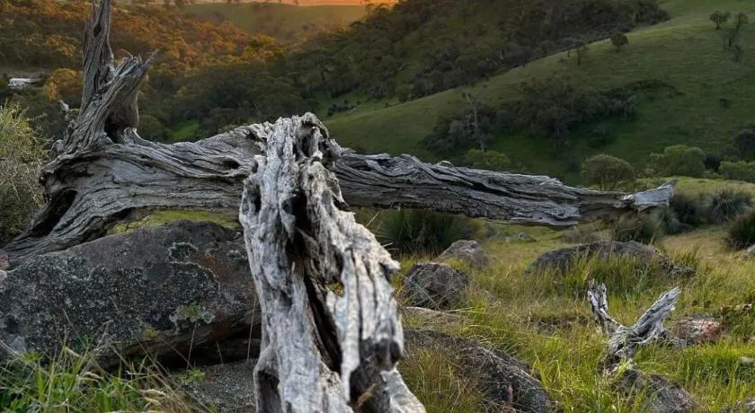 Kaiser Ridge - eco stay - Image 1