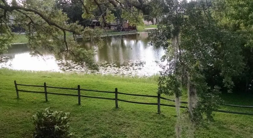 Tampa Lakehouse - Image 1