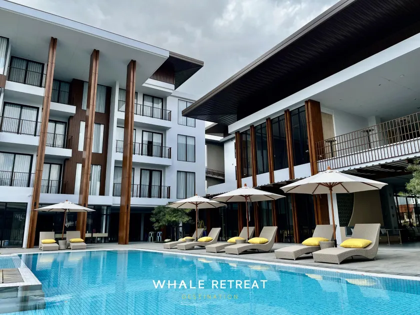Whale Retreat Destination - Image 1