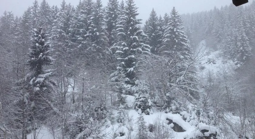 LA TANIA COURCHEVEL 73120 - Image 1