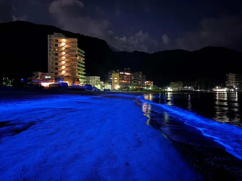 Alim STAY IZU アリムステイ 伊豆 - Image 1