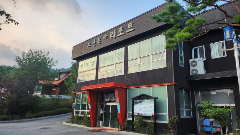 보성녹차리조트 - Image 1