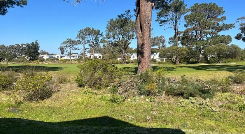 Golfers paradise on 25th green - Image 1