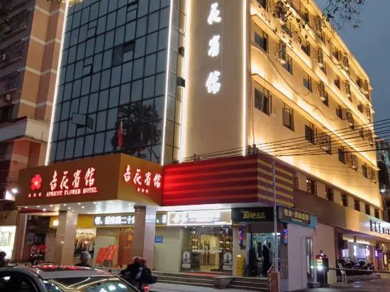 Apricot Flower Hotel - Image 1