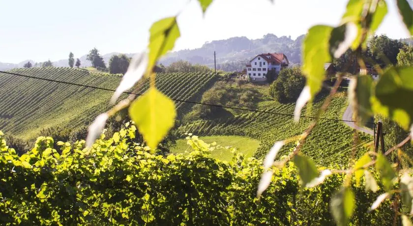 Weingut Peter Grill - Image 1