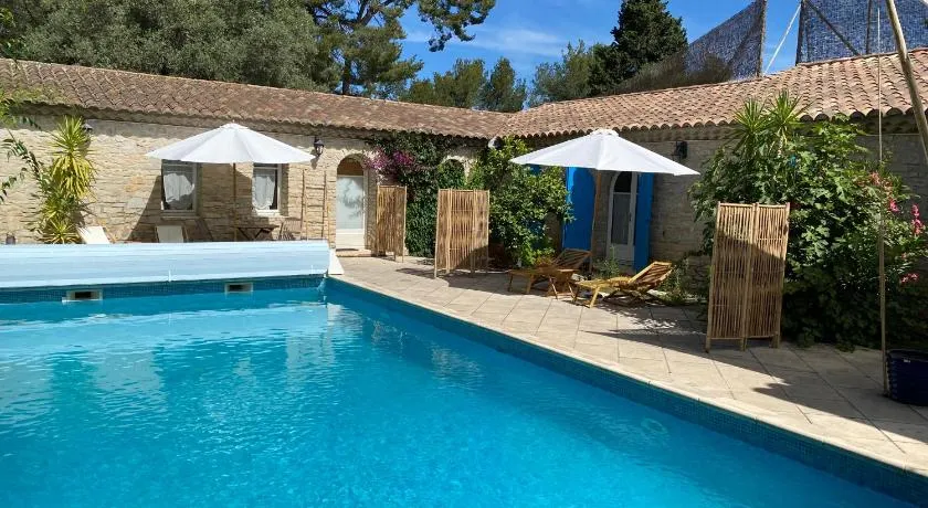 Le Patio aux Oiseaux - Image 1