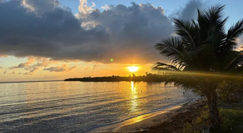 Ocean Paradise - Image 1